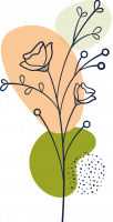Blume1 Blume1
