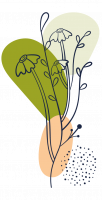 Blume2 Blume2